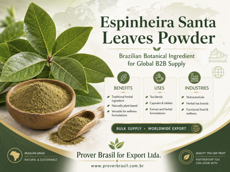 Espinheira Santa Leaves Powder from Brazil – 7 Benefits, Botanical Applications and Wholesale Supply for Global Importers