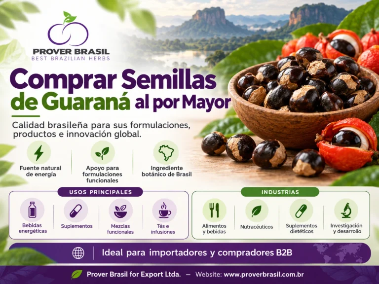 Comprar Semillas de Guaraná al por Mayor – Semillas de Paullinia cupana de Brasil