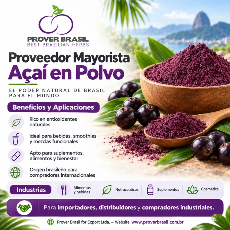 Proveedor Mayorista Açaí en Polvo de Brasil para importadores y distribuidores internacionales – Prover Brasil