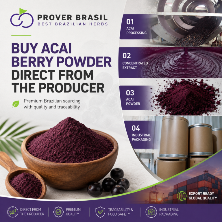 Where and How to Buy Acai Berry Powder Directly from the Producer