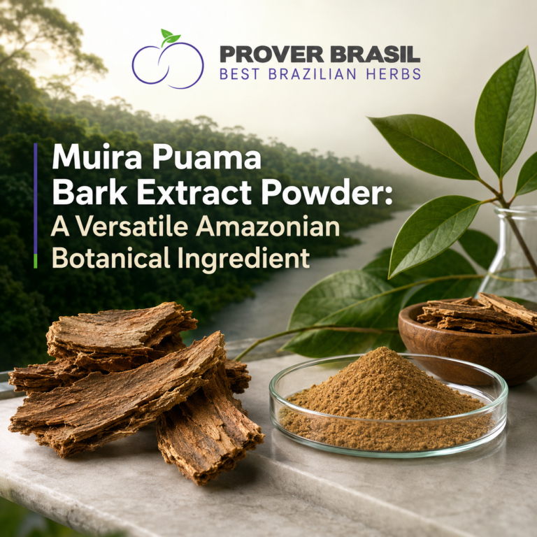 Muira Puama Bark Extract Powder A Versatile Amazonian Botanical Ingredient
