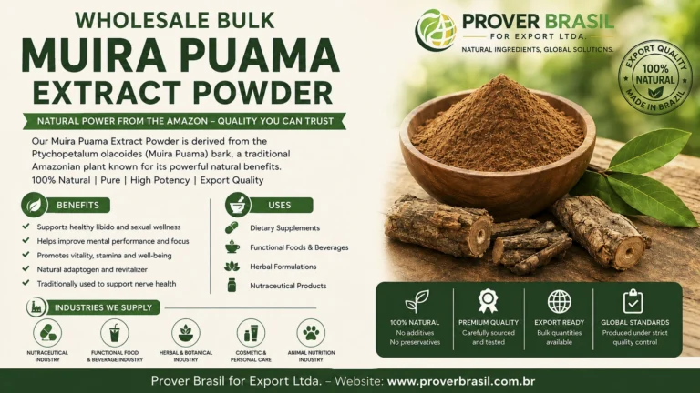 Wholesale Bulk Muira Puama Extract Powder from Brazil