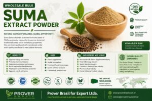 Wholesale Bulk Suma Extract Powder from Brazil