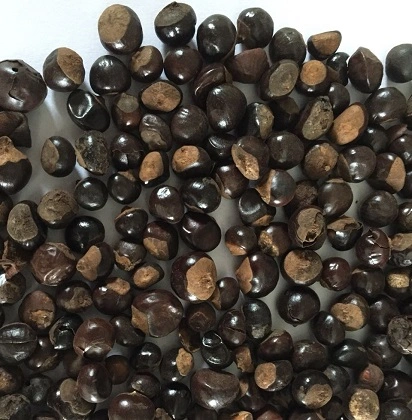 9333106cc9746e927ad24a5da8c0d263