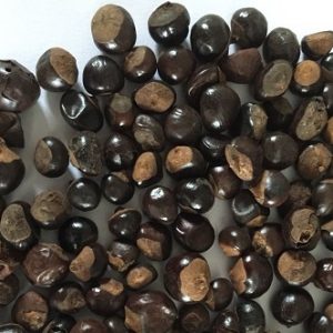 B9ae578dd54608dd3d31e2a1e37e6a48 1