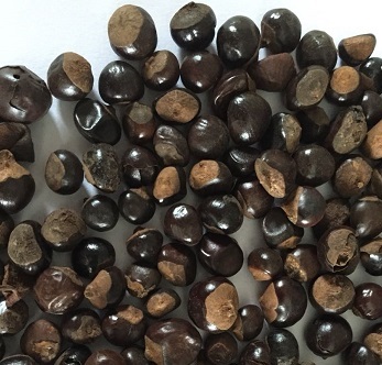 b9ae578dd54608dd3d31e2a1e37e6a48 1