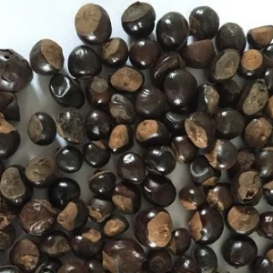 best guarana of brazil Best Guarana Of Brazil