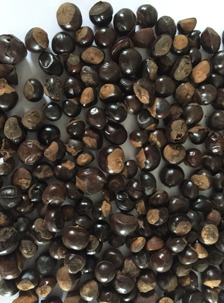 d2dfea1bb4402d86b74ab6dad622fe45